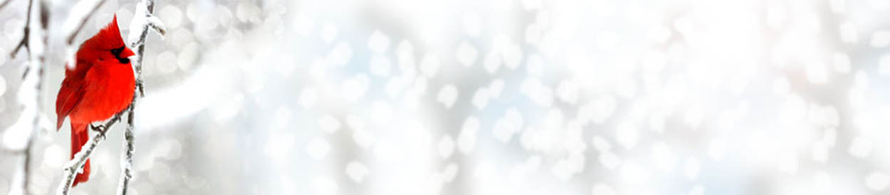 You shall teach them diligently to your children, and shall talk of them when you sit in your house, and when you walk by the way, and when you like down, and when you rise. Deuteronomy 6:7